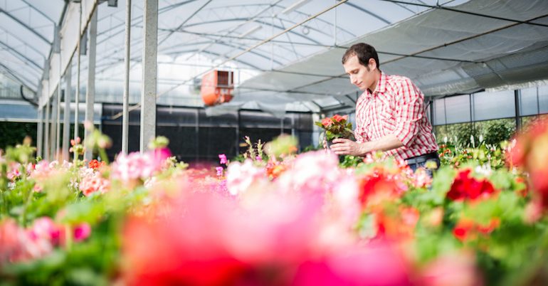 How to Start a Floral Business: Tips on Seed Money, More - NerdWallet