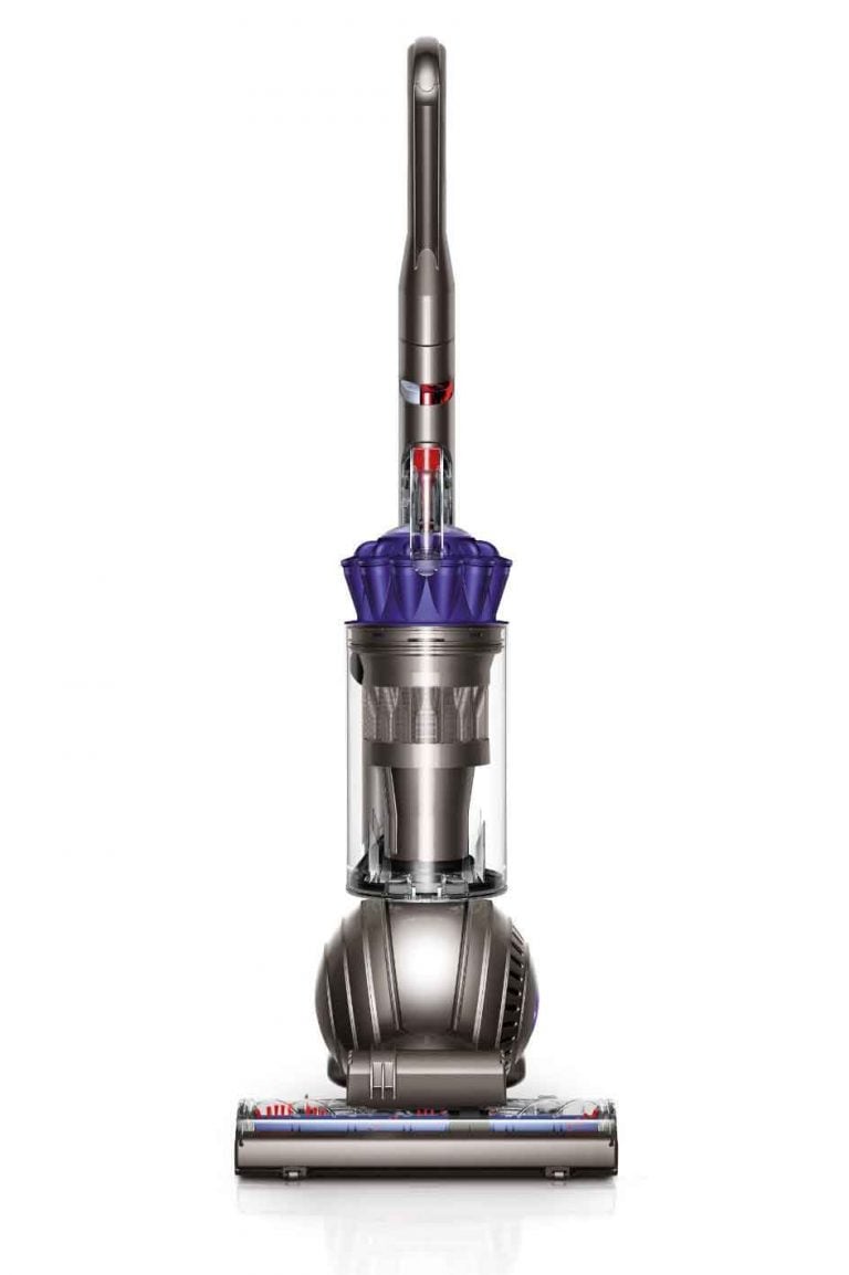 dyson vacuum animal pro