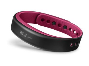 vivofit vs vivosmart