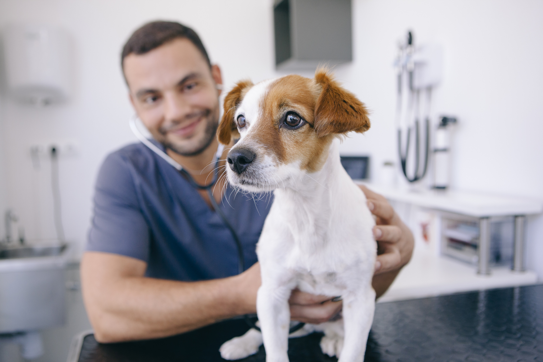 puppy-s-first-vet-visit-how-to-reduce-vet-anxiety