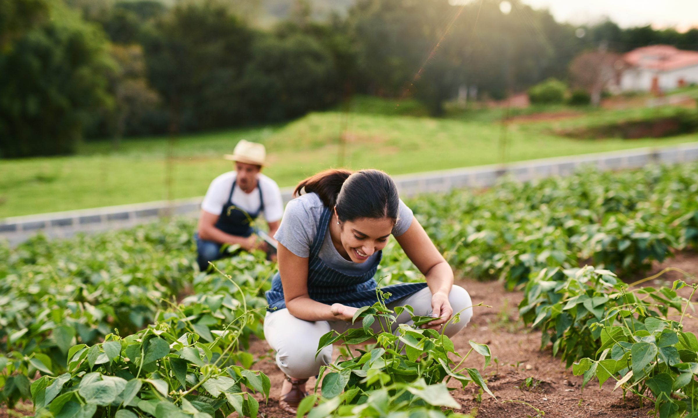 Most Profitable Small Farm Ideas NerdWallet