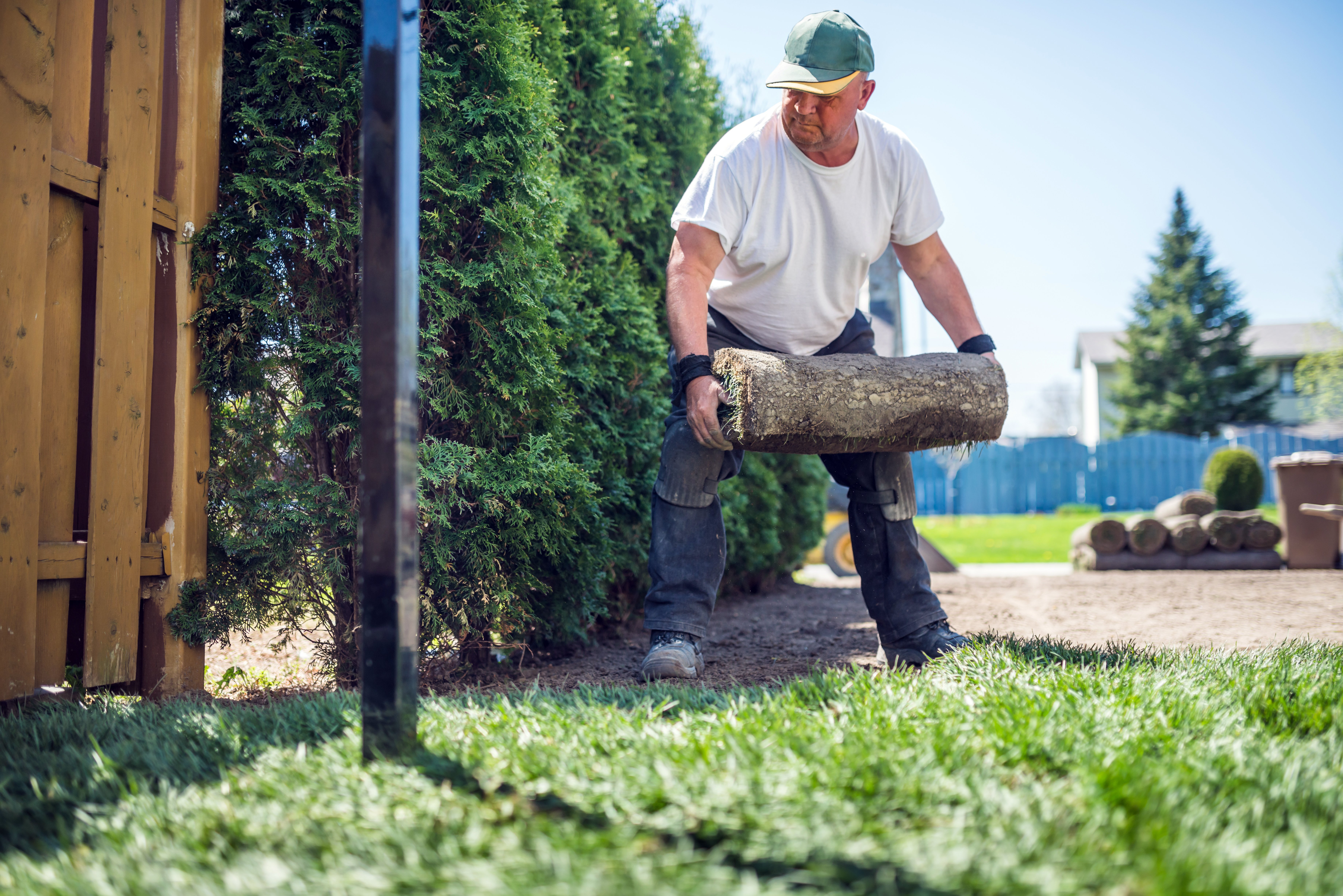 How to Start a Landscaping or Lawn Care Business - NerdWallet