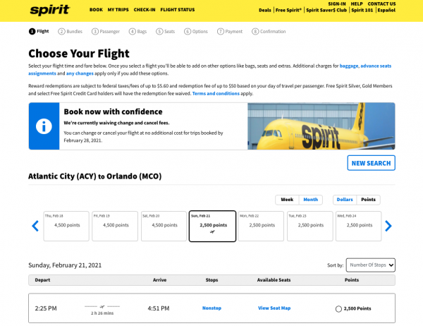 spirit flight fees