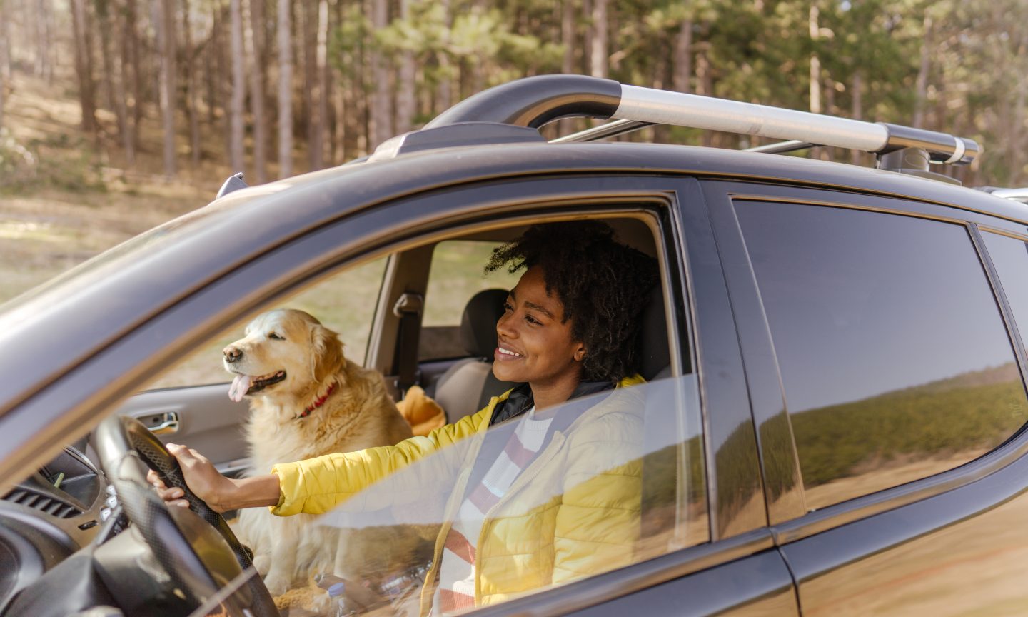 What to Do If You Have a Rental Car Accident - NerdWallet