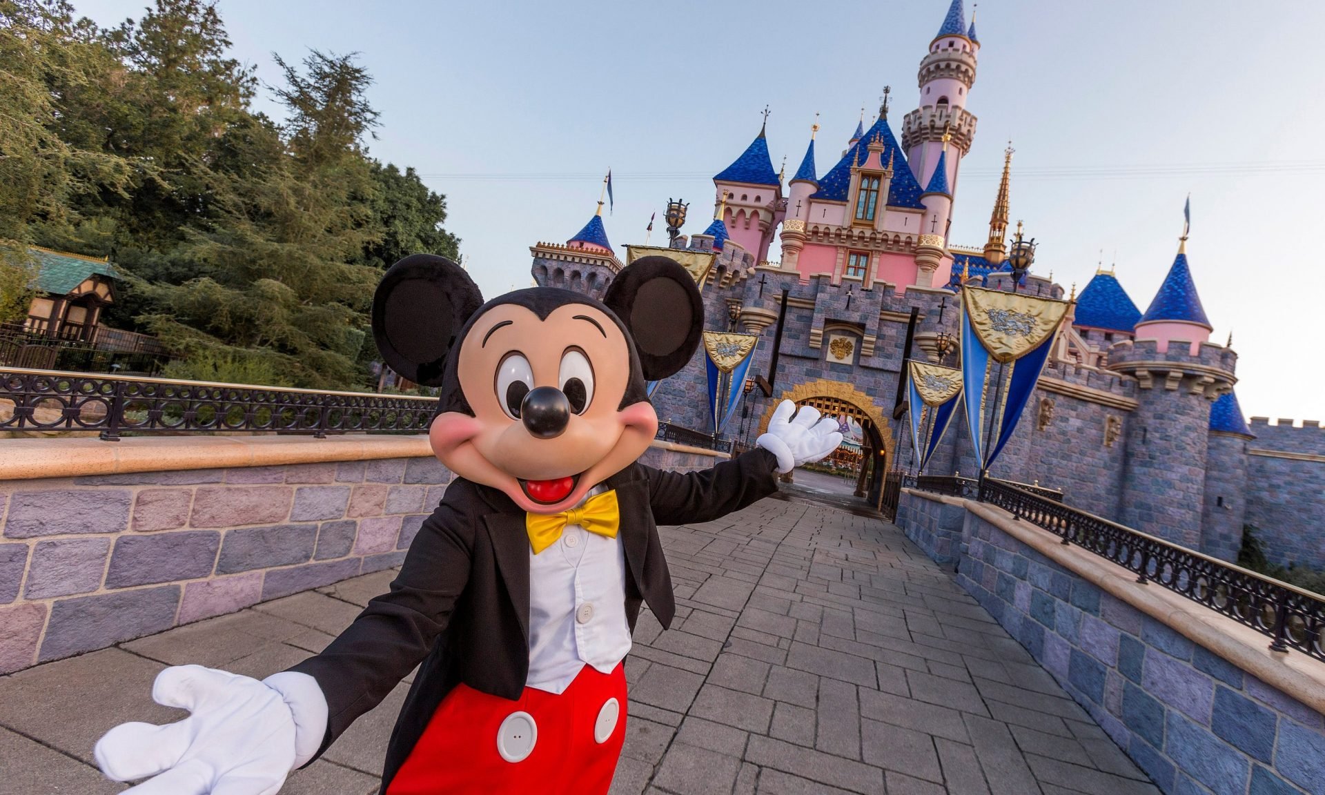 Disney Travel Insurance Is It Worth The Cost Nerdwallet