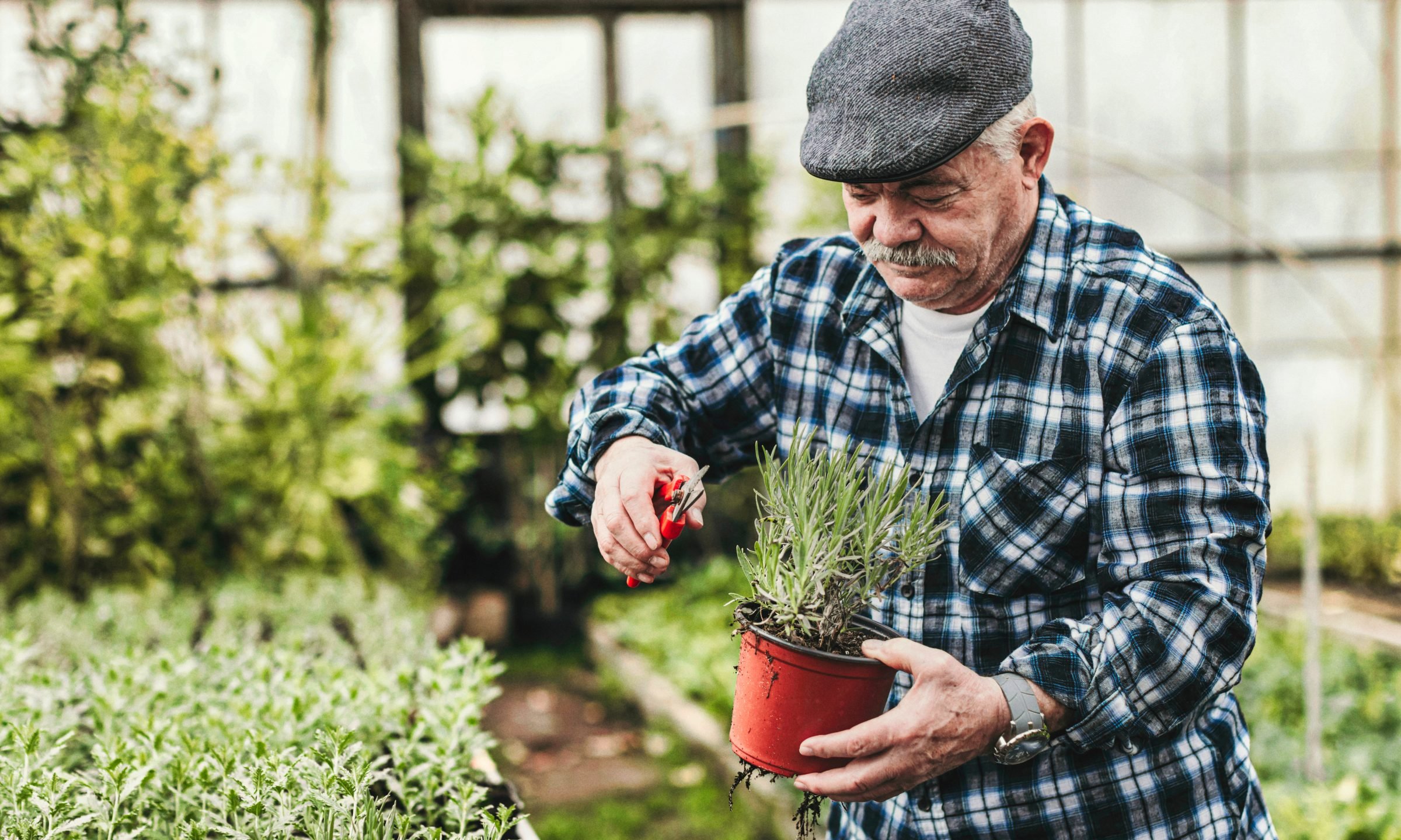 Best Medicare Supplement Plans in Florida 2024 - NerdWallet