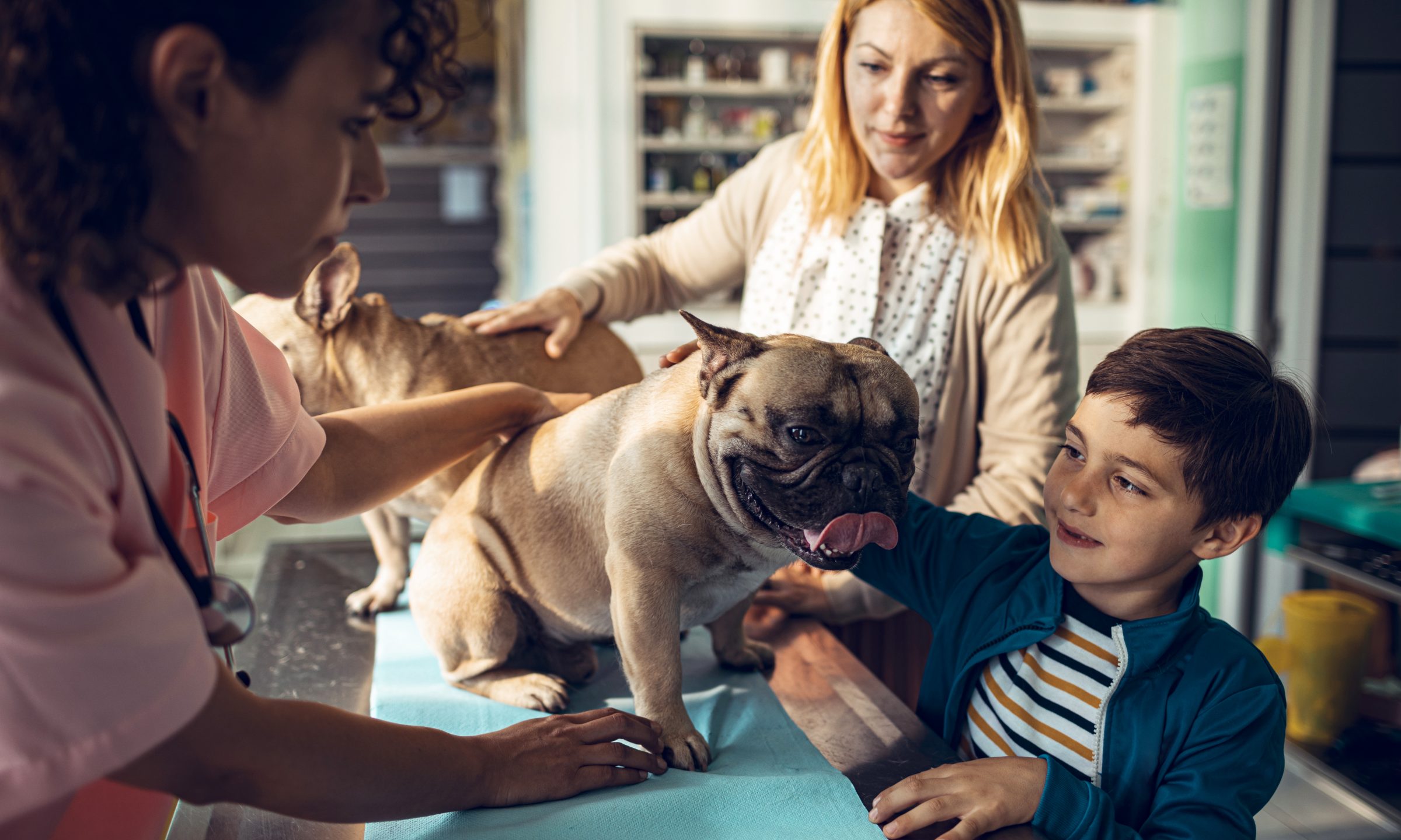 How to Effectively Use State Rainy Day Funds