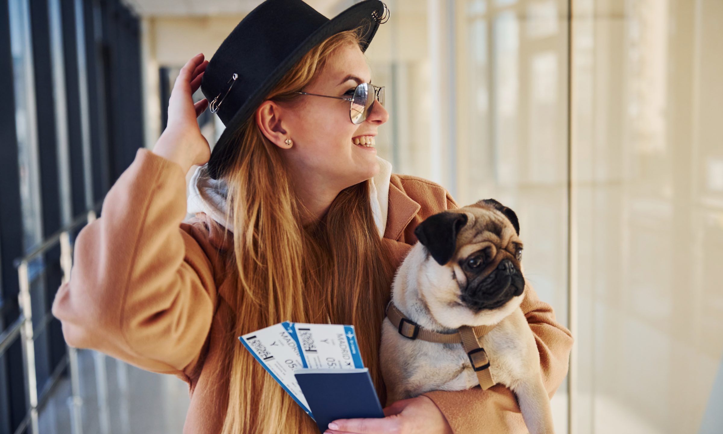 united-pet-policy-what-you-need-to-know-nerdwallet