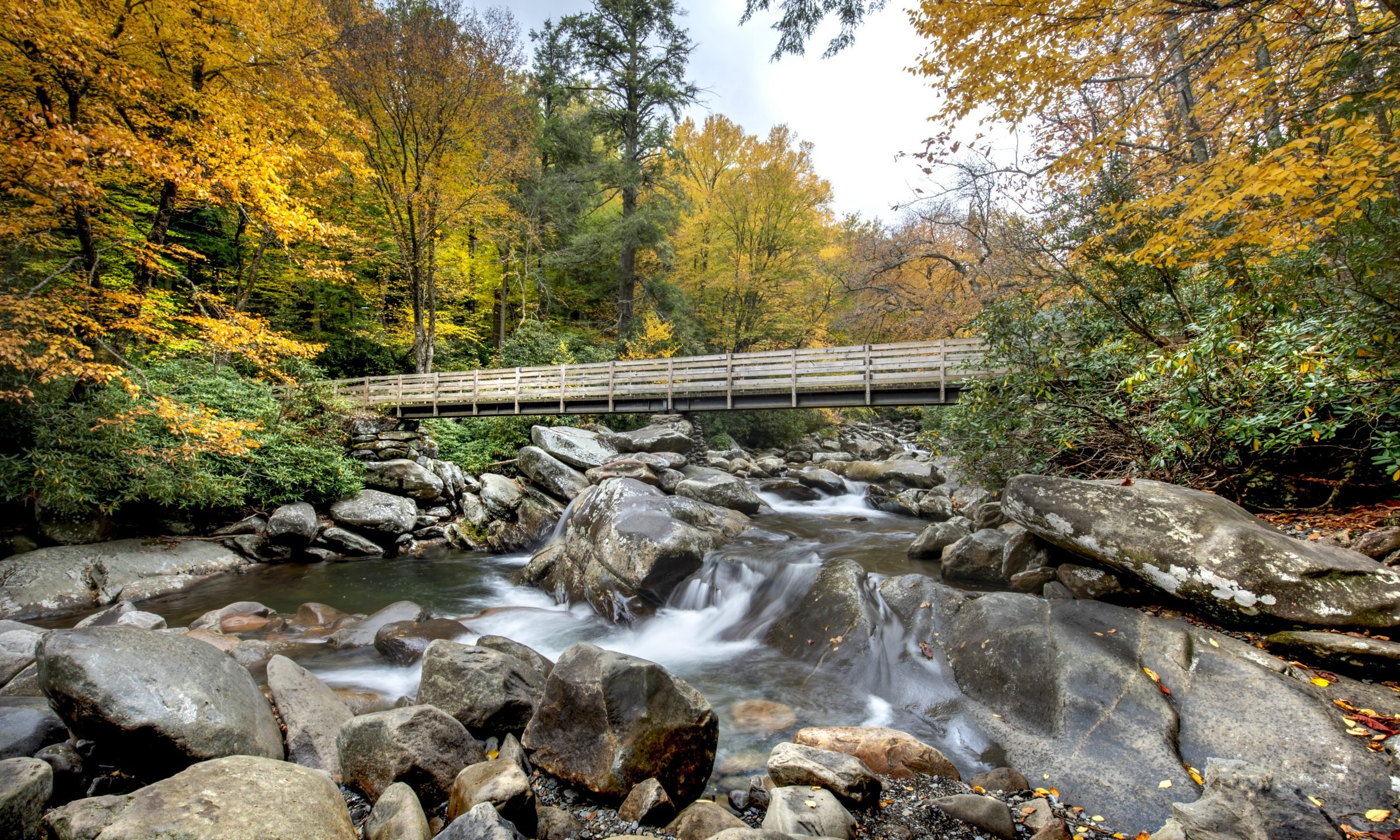 tourist attractions in nc near charlotte