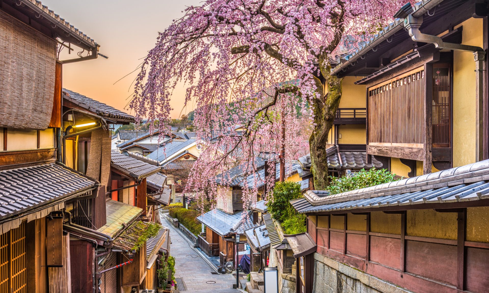 6 Best Airlines To Fly To Japan - NerdWallet