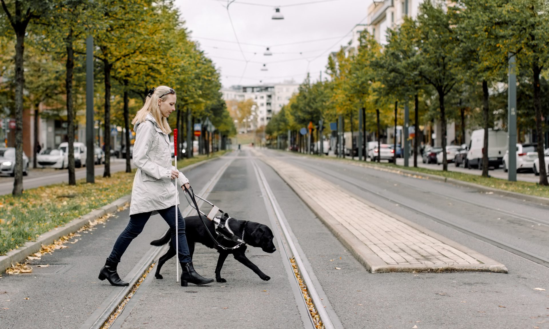 Traveling with a Service Dog: What to Know - NerdWallet