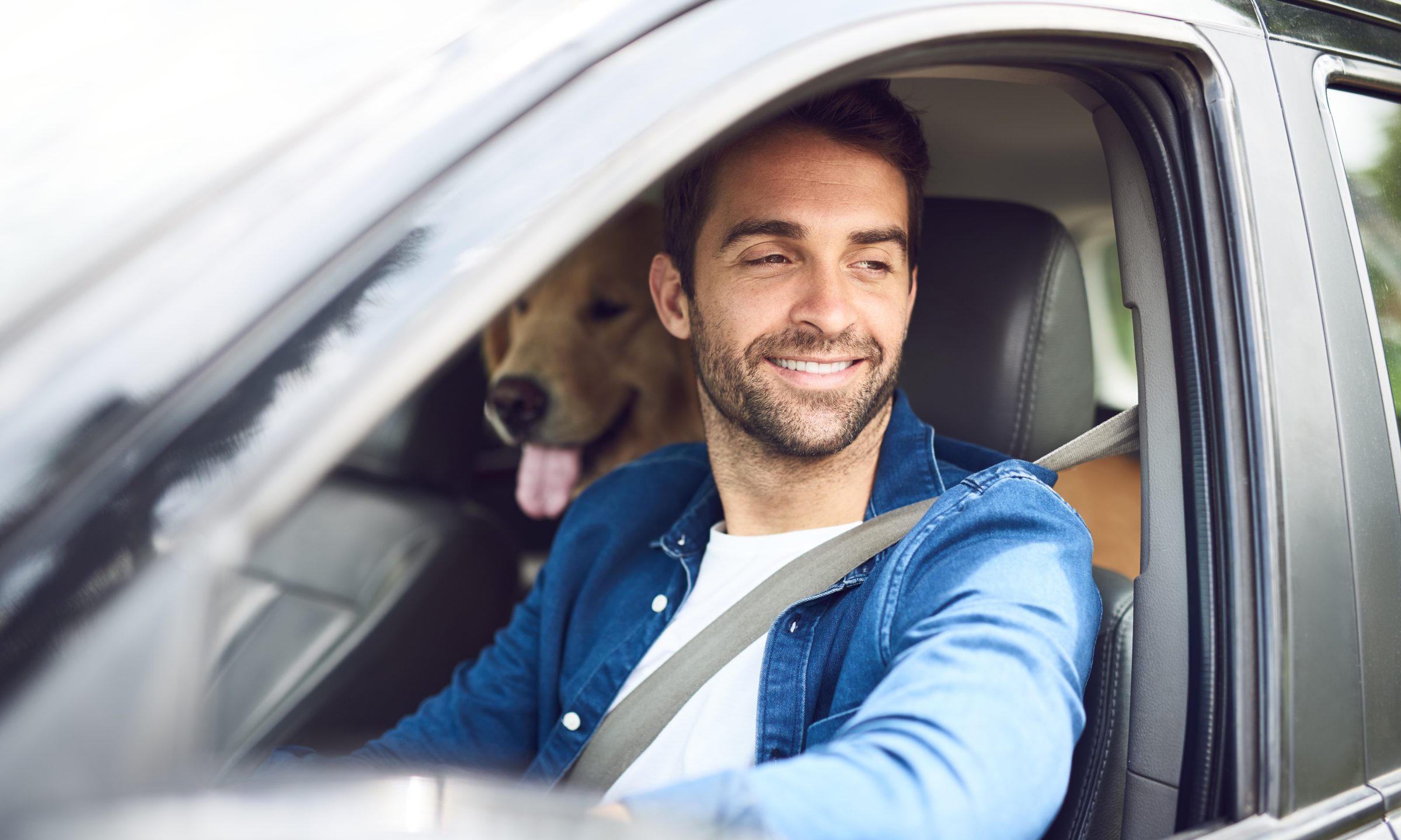 Is It Illegal to Drive Without Insurance? - NerdWallet