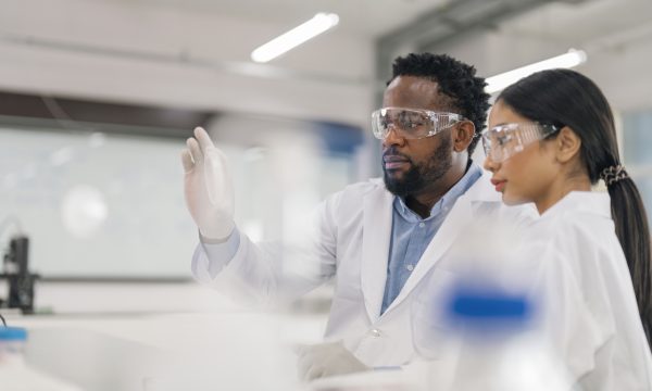 5 Best-Performing Biotech Stocks For September 2024 - NerdWallet