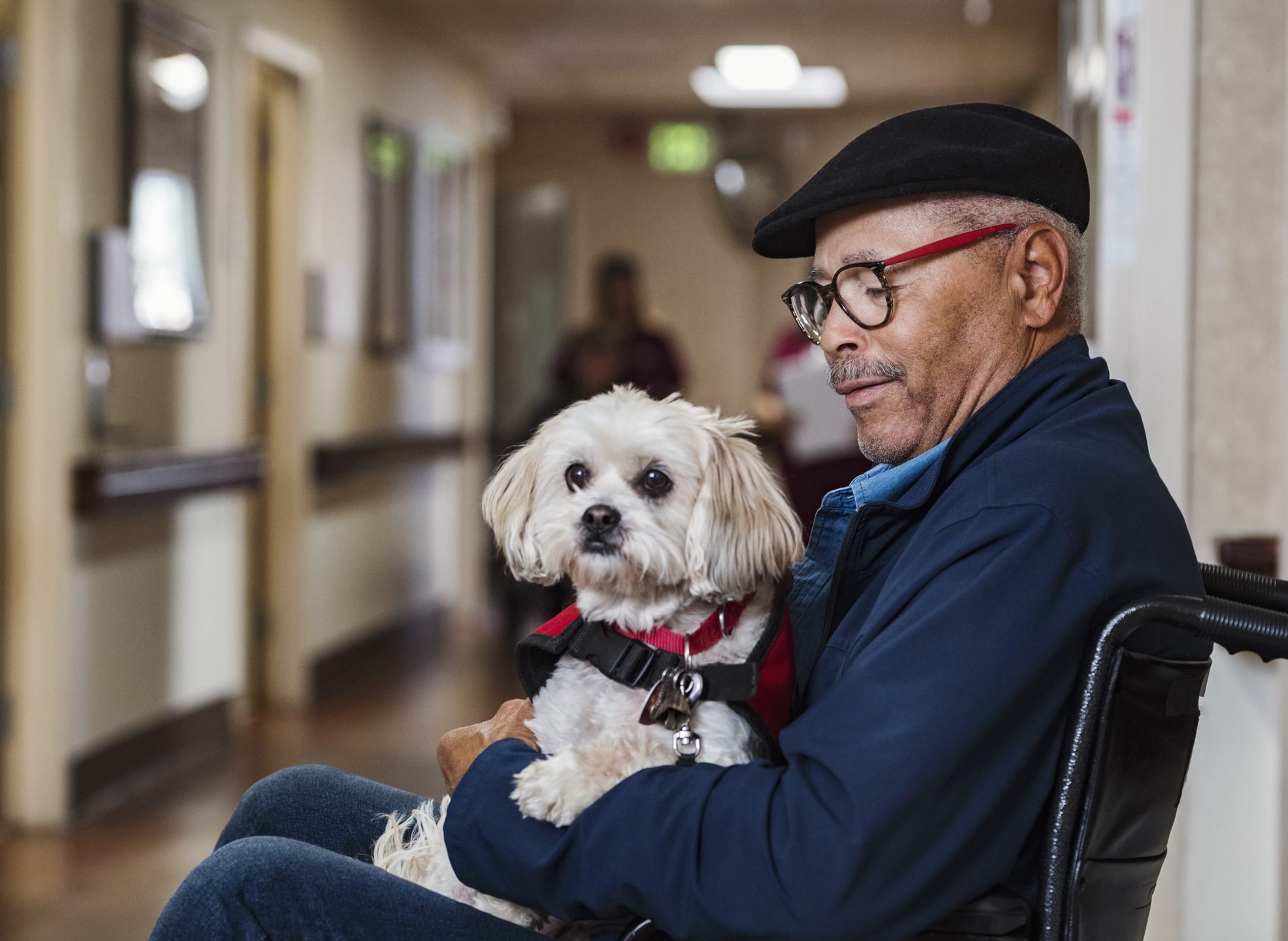 delta international travel with service dog