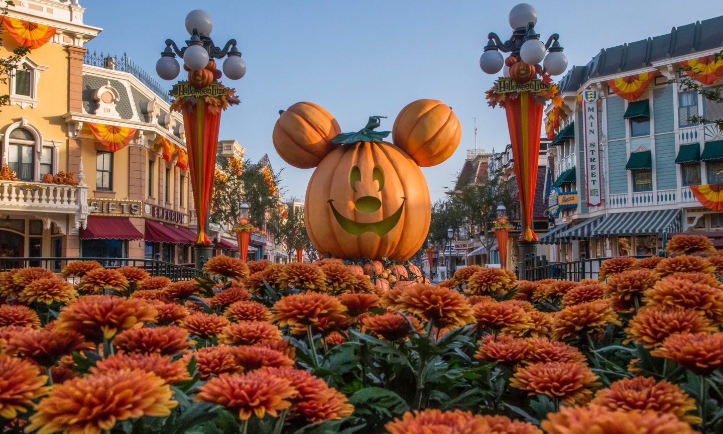 When Is The Best Time To Go To Disneyland TheAdviserMagazine