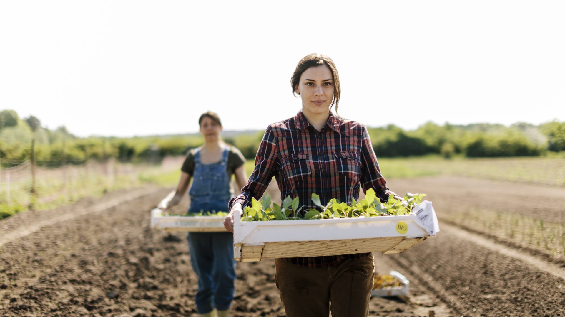 Expanded USDA Microloans Program Increases Opportunity for Small and  Beginning Farmers - National Sustainable Agriculture Coalition