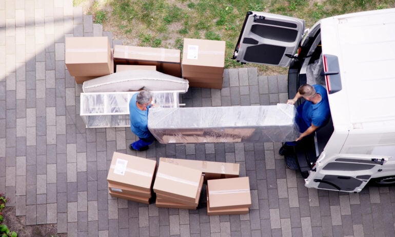 Box, Person, Adult