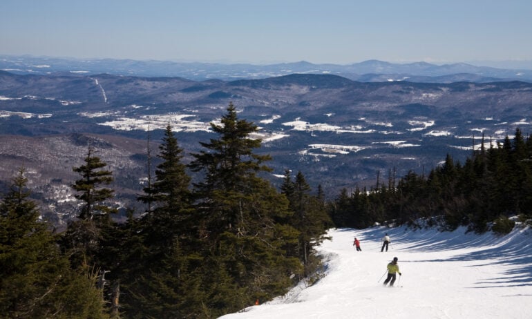 Plant, Tree, Fir, skiing