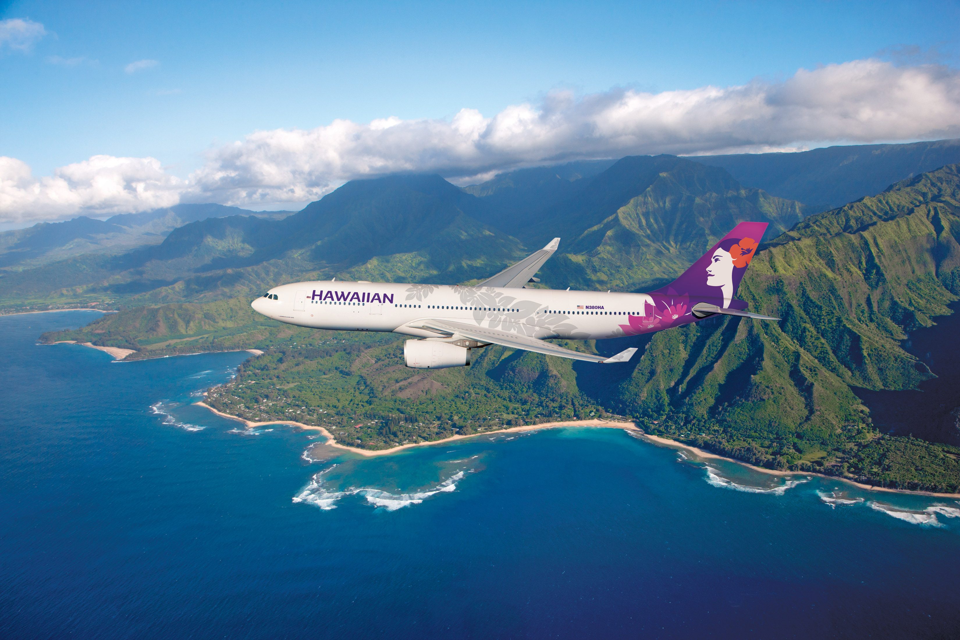 Hawaiian air cargo pets best sale