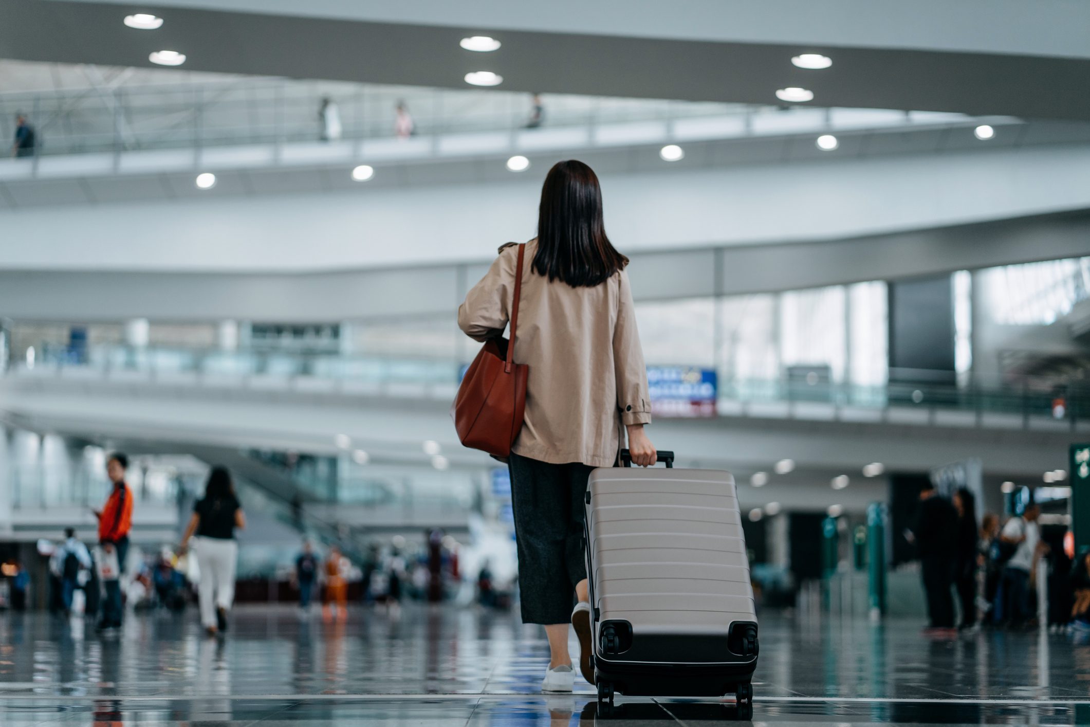 American airlines baggage missing on sale