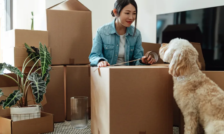 Person with moving boxes and dog